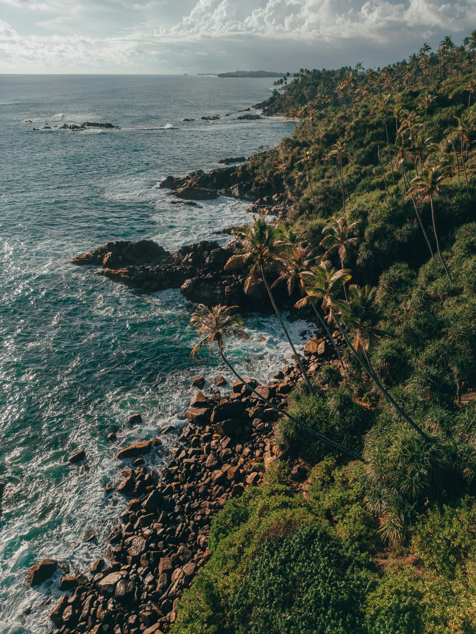 Unawatuna Beach palm trees