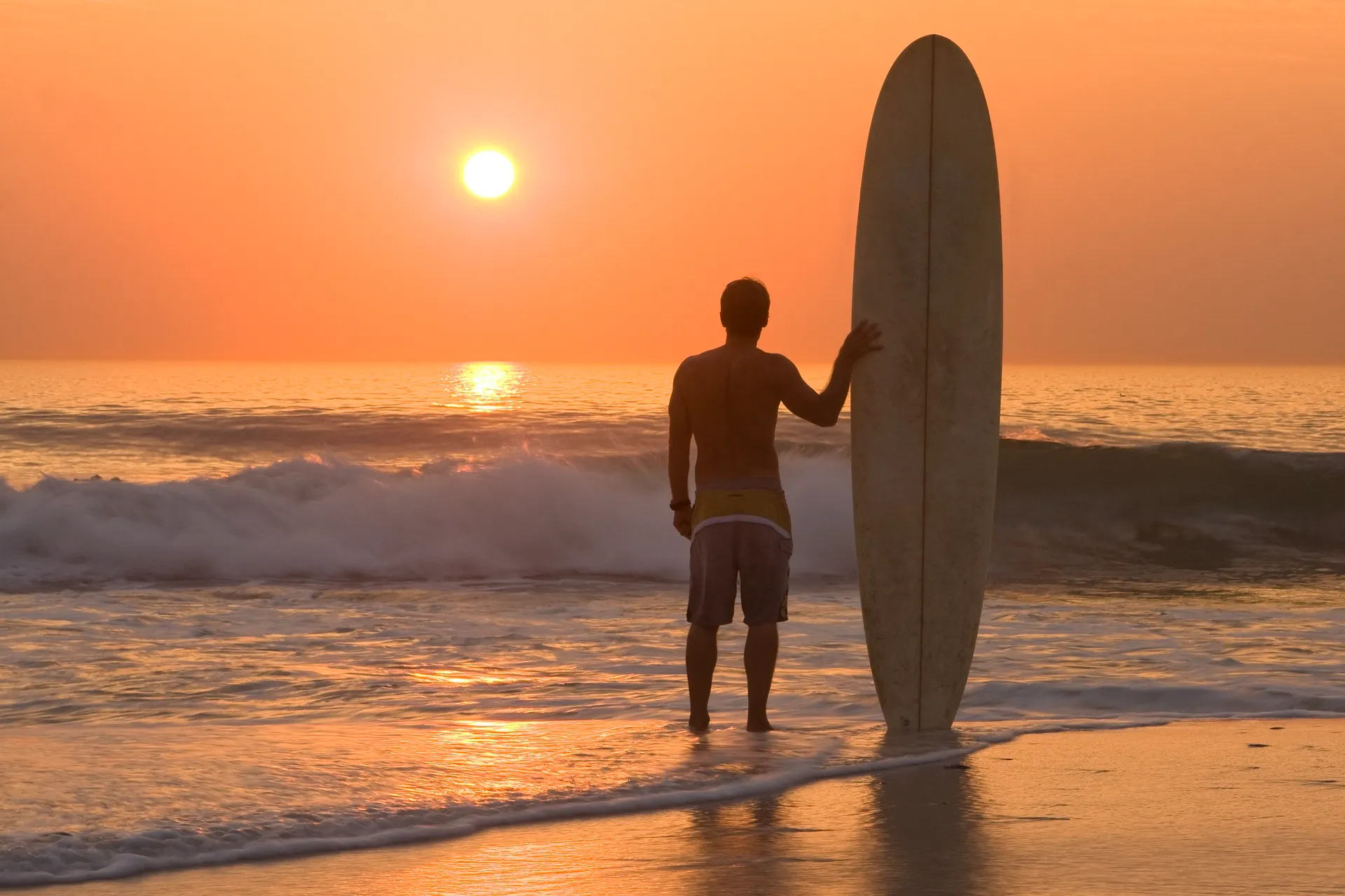 Unawatuna Beach palm trees
